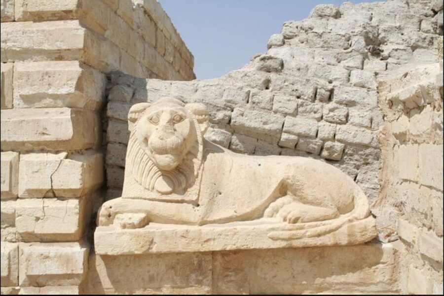 From Cairo: Whale Valley and Wadi El Rayan Waterfalls Tour - Key points at a glance