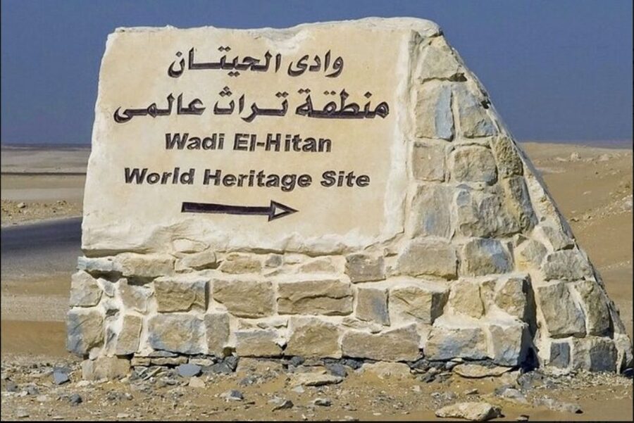 From Cairo: Whale Valley and Wadi El Rayan Waterfalls Tour - Leaving Cairo for Faiyum’s open desert