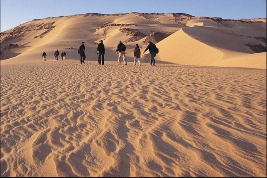 From Cairo: Whale Valley and Wadi El Rayan Waterfalls Tour - Wadi El Rayan Waterfalls in a dry setting