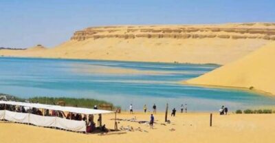 Whale Valley and Wadi El Rayan Waterfalls Tour