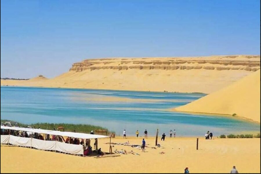 From Cairo: Whale Valley and Wadi El Rayan Waterfalls Tour - Magic Lake and the optional night in the desert