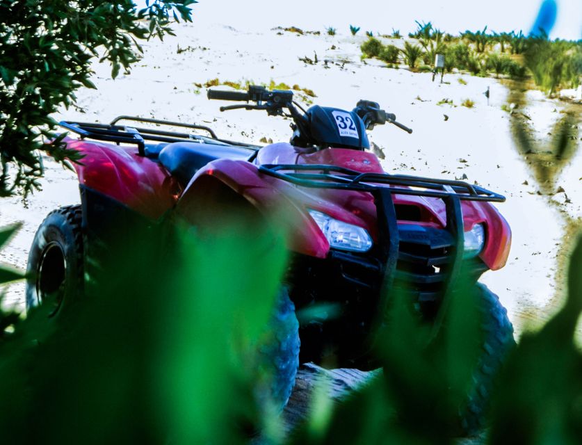 From El Gouna: Dry Canyon Quad Bike Morning Tour - Stop three: the canyon-top view