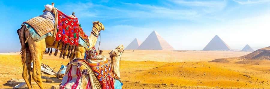 From Giza: Day tour to Giza Pyramids Tour with Pickup - The Great Pyramid gets the main share of your time
