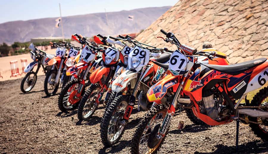 From Hurghada: El Gouna Quad and MX Bike Safari Tour - Booking Details That Can Save You Trouble