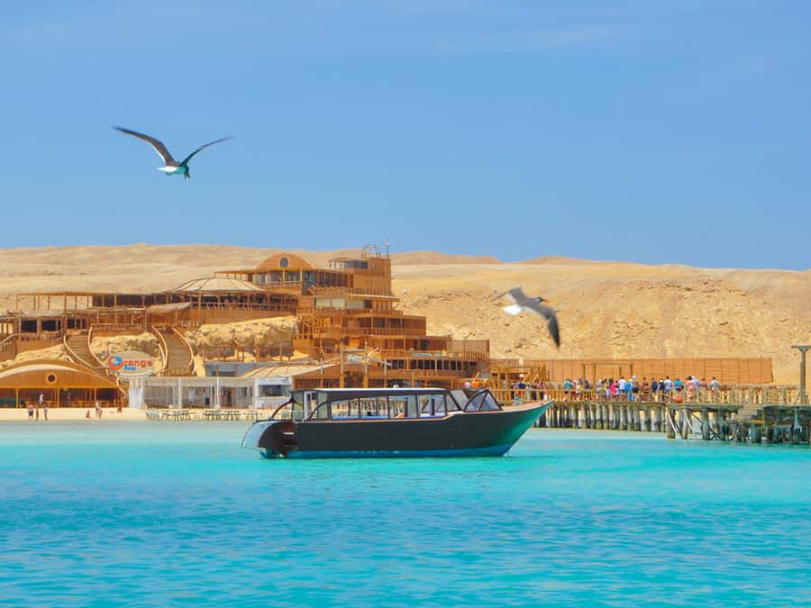 From Hurghada: Giftun Island Cruise with Lunch & Watersports - Crowds, delays, and the quality of the day