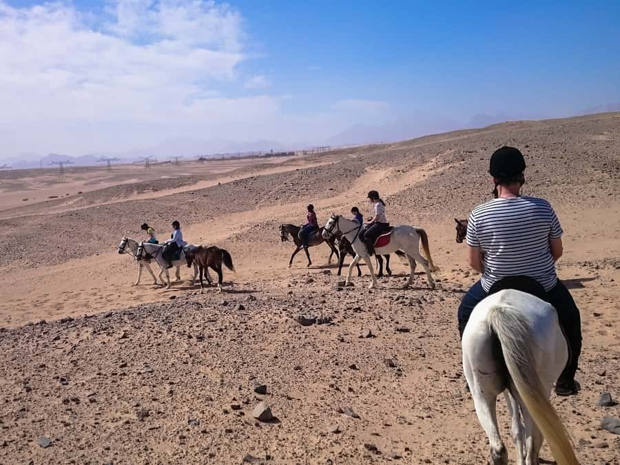 From Hurghada: Makadi Bay Horse Riding Tour - Practical tips for a smoother ride