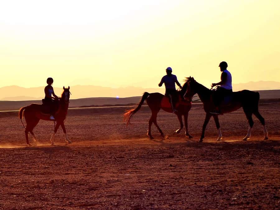 From Hurghada: Makadi Bay Horse Riding Tour - Riding from Makadi Bay’s desert to the Red Sea