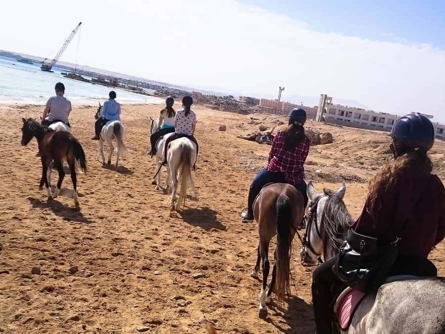 From Hurghada: Makadi Bay Horse Riding Tour - Choosing the right package