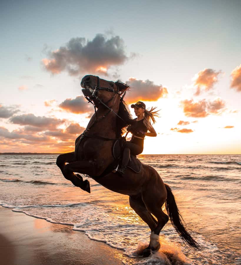 From Hurghada: Makadi Bay Horse Riding Tour - How the guides handle beginners and stronger riders