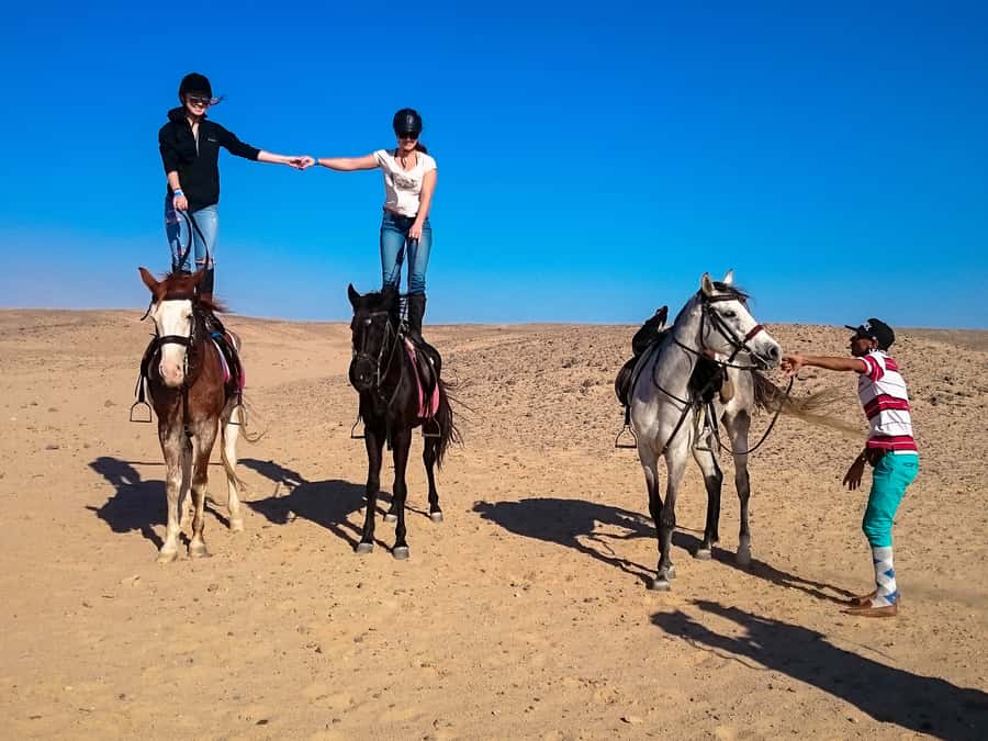 From Hurghada: Makadi Bay Horse Riding Tour - Photos, dinner, and the small extras