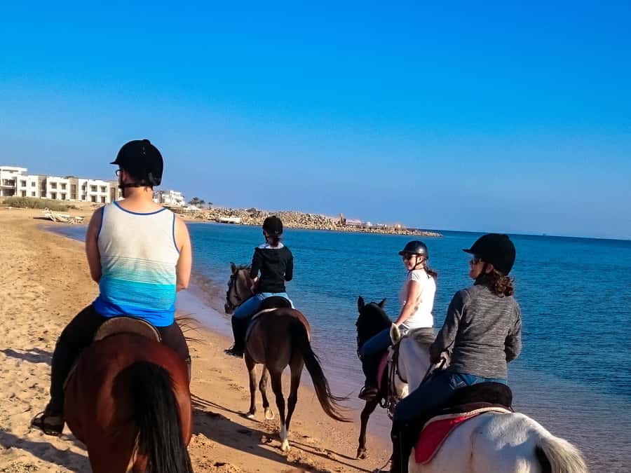 From Hurghada: Makadi Bay Horse Riding Tour - Is $20 good value for this Makadi Bay ride?