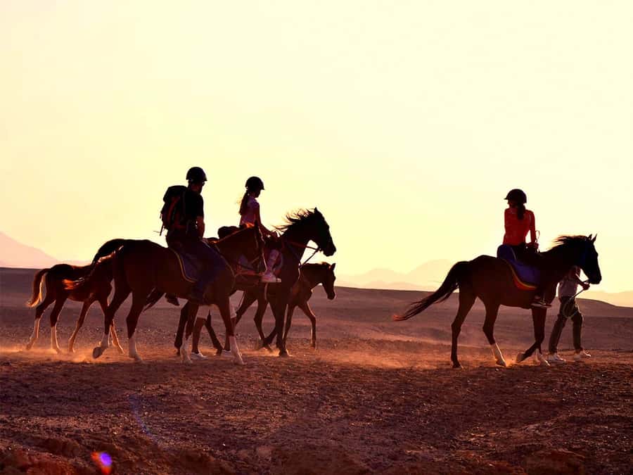 From Hurghada: Makadi Bay Horse Riding Tour - What happens when you arrive at the horse base