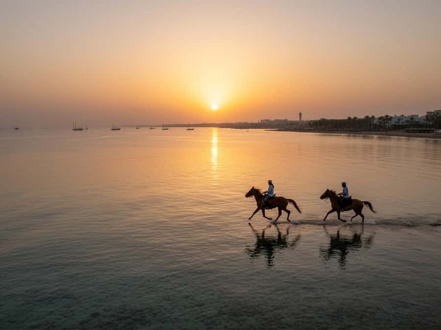 From Hurghada: Red Sea Sunrise and Desert Horseback Riding - Key points at a glance
