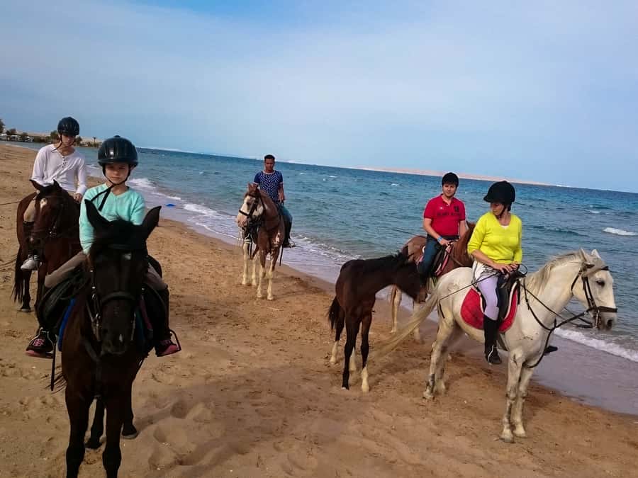 From Hurghada: Red Sea Sunrise and Desert Horseback Riding - Two hours from sand to Red Sea shore