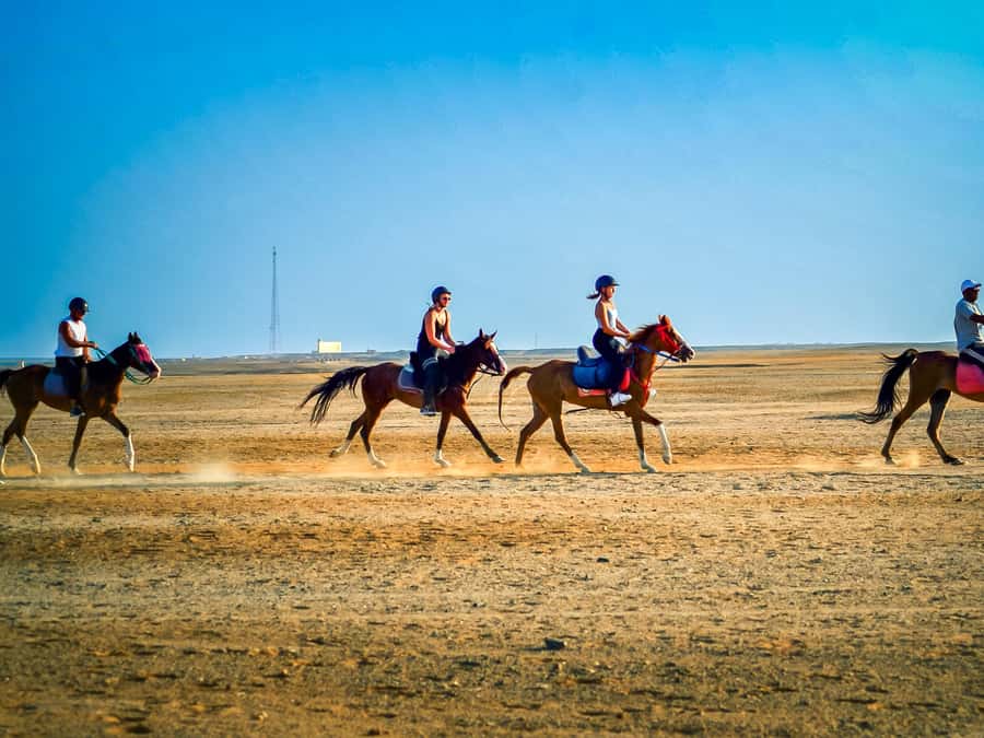 From Hurghada: Red Sea Sunrise and Desert Horseback Riding - Four ways to book the ride