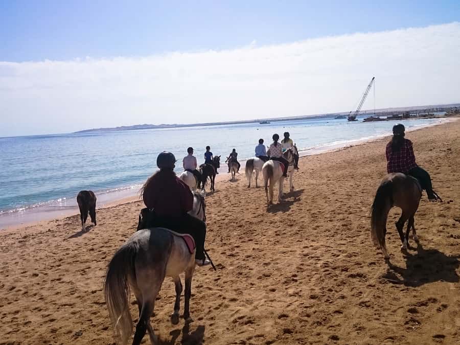 From Hurghada: Red Sea Sunrise and Desert Horseback Riding - Is $29 good value?
