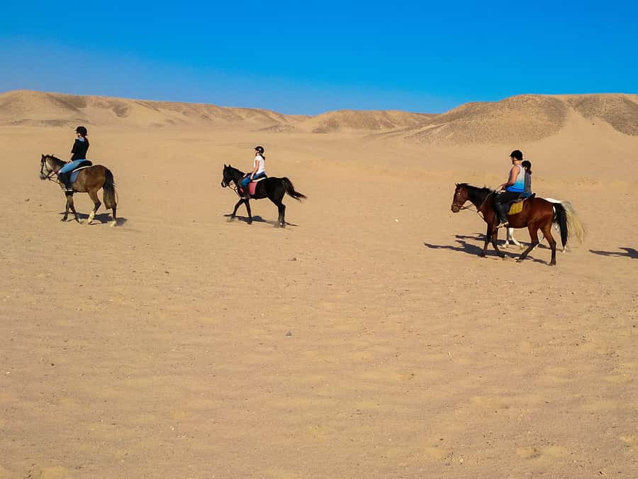 From Hurghada: Red Sea Sunrise and Desert Horseback Riding - Who should book, and who should skip it