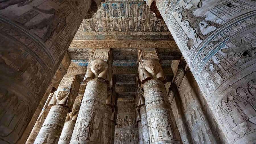 From Luxor: Abydos & Dendera Temples on a Private Day Tour. - How the private guide changes the visit