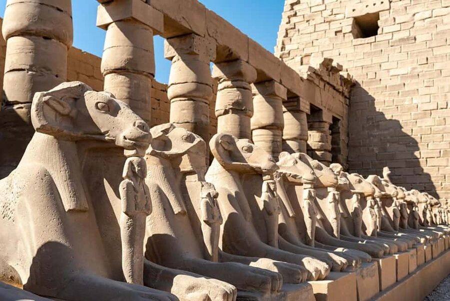 From Marsa Alam: Private Day Trip to Luxor by Car - The Colossi of Memnon: a quick lesson in scale