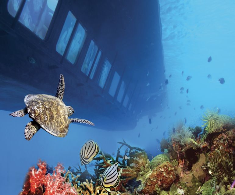 From Safaga: Royal Seascope Submarine with Snorkeling - Should you book the Royal Seascope?