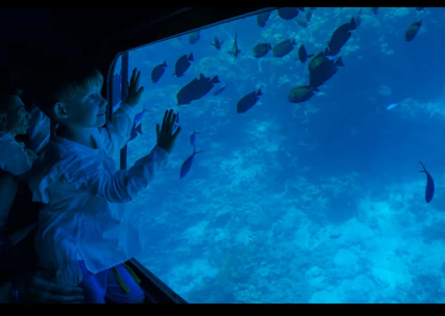 From Safaga: Royal Seascope Submarine with Snorkeling - What the Royal Seascope actually offers