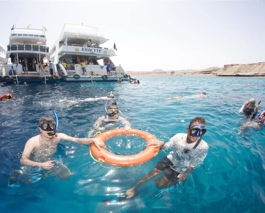 From Sharm: Half day Snorkeling Trip with Lunch - The optional introductory scuba session