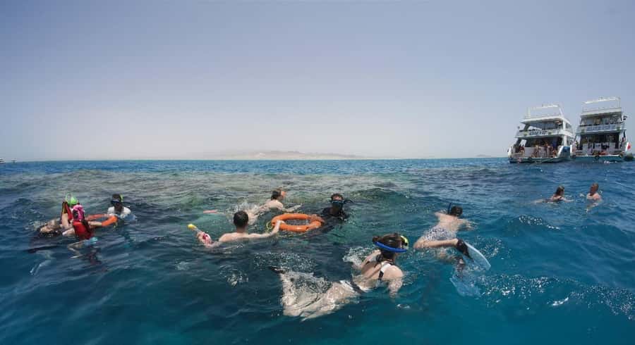 From Sharm: Half day Snorkeling Trip with Lunch - Lunch with a view of the Red Sea