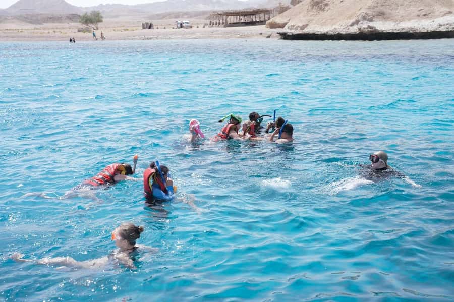 From Sharm: Half day Snorkeling Trip with Lunch - What the reviews reveal about the day