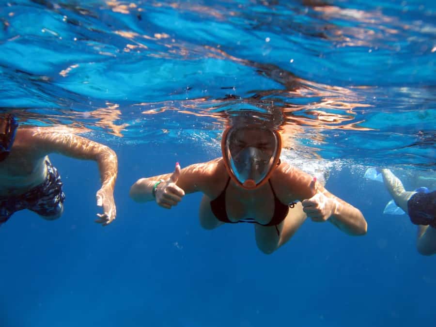 From Sharm: Half day Snorkeling Trip with Lunch - Choosing between the marina and hotel pickup