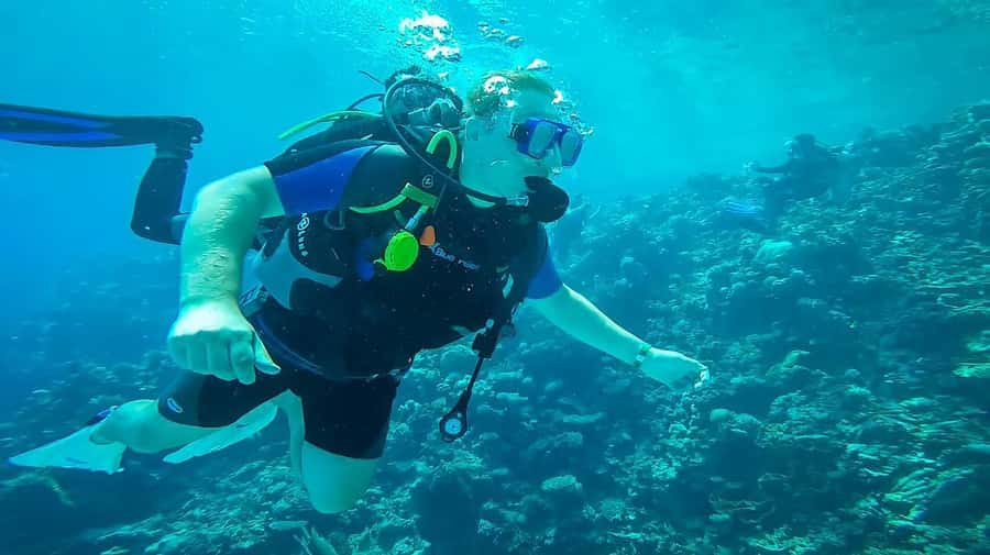 From Sharm: Luxury Diving cruise to Ras Mohammed with Lunch - The photo and video sales issue