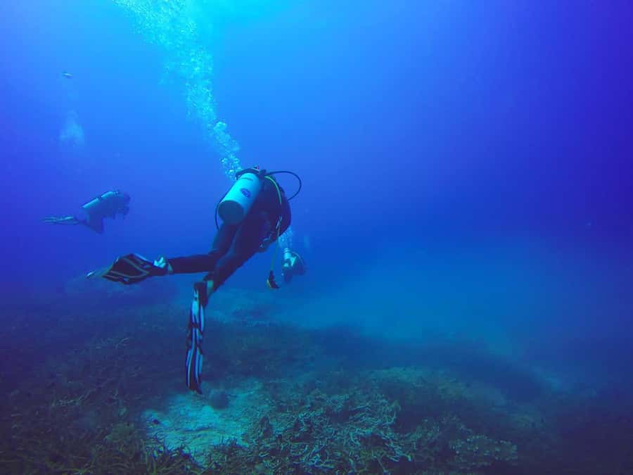 From Sharm: Luxury Diving cruise to Ras Mohammed with Lunch - Who should book this Ras Mohammed trip