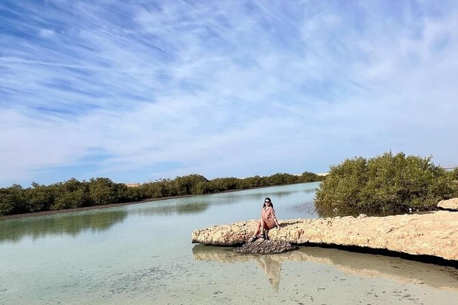 From Sharm: Ras Mohamed National Park and Magic Lake Day Tour - Mangrove trees growing in salt water