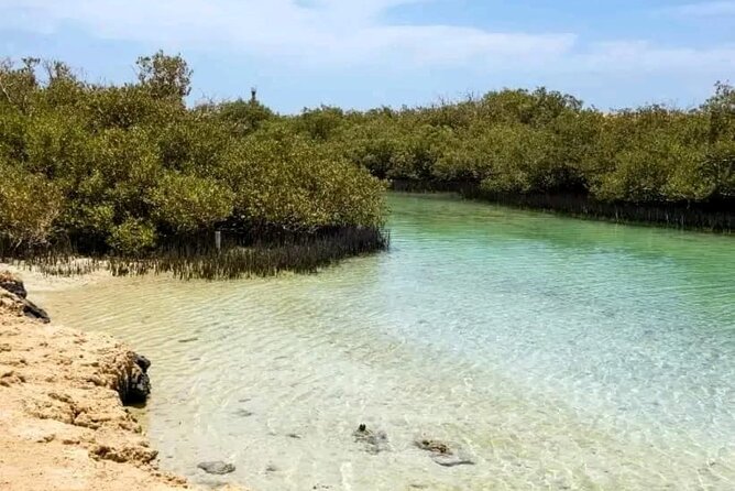 From Sharm: Ras Mohamed National Park and Magic Lake Day Tour - Guide service and the human side of the tour