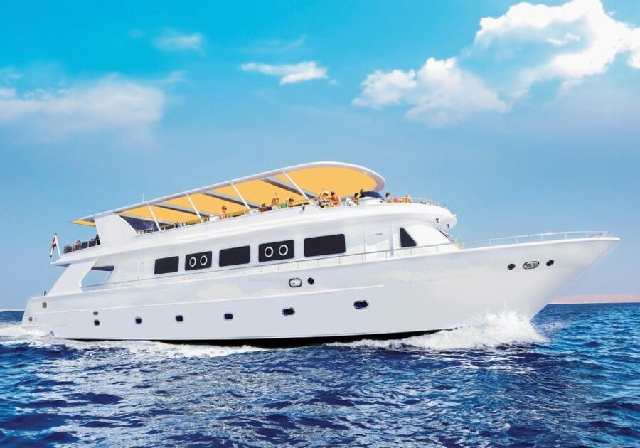 From Sharm: Ras Mohammed Cruise with Island Visit and Lunch - White Island and the problem of the tide