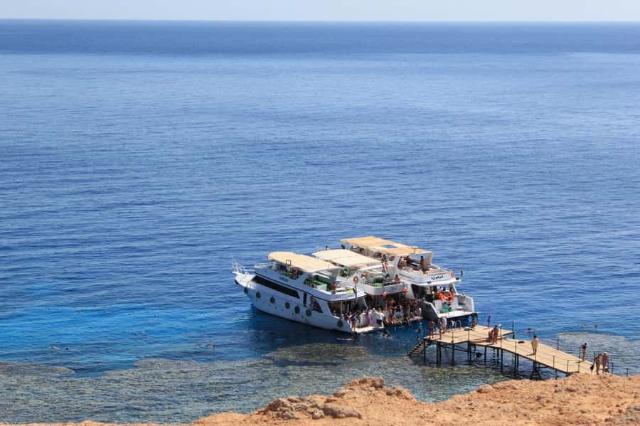 From Sharm: Ras Mohammed Cruise with Island Visit and Lunch - What the Ras Mohammed swims are like