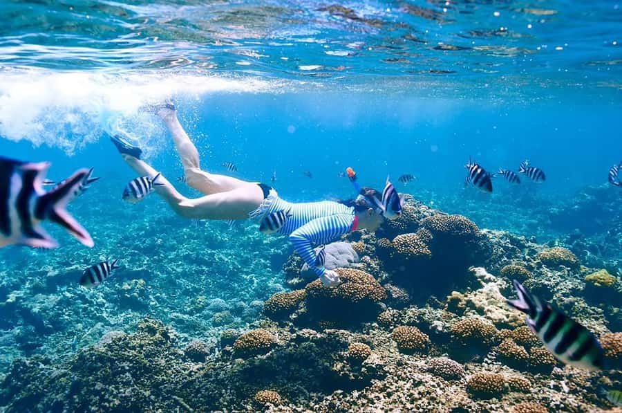 From Sharm: Ras Mohammed snorkeling cruise & optional diving - Who will enjoy this trip most