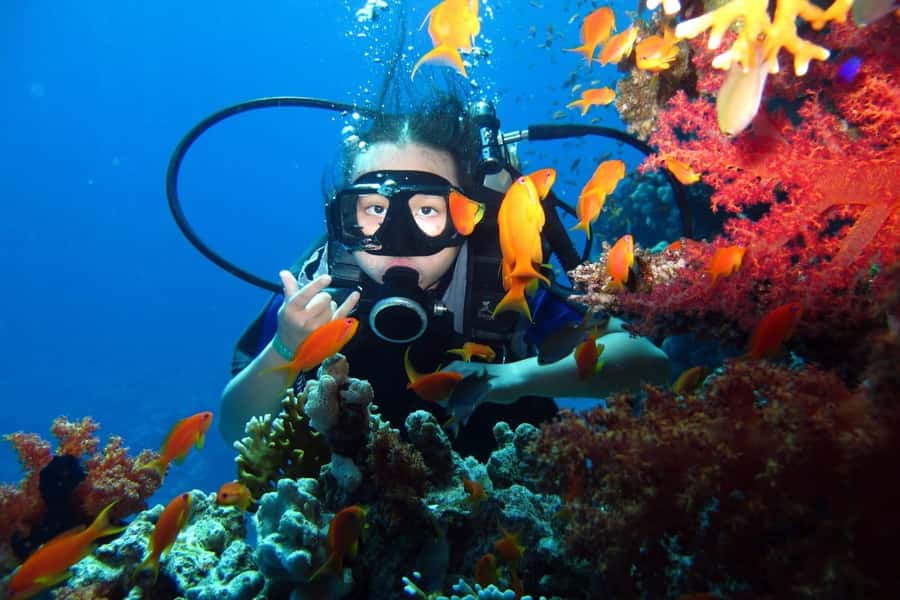 From Sharm: Ras Mohammed snorkeling cruise & optional diving - Optional introductory scuba session