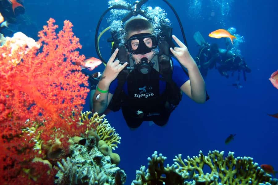 From Sharm: Ras Mohammed snorkeling cruise & optional diving - Is $31 good value?