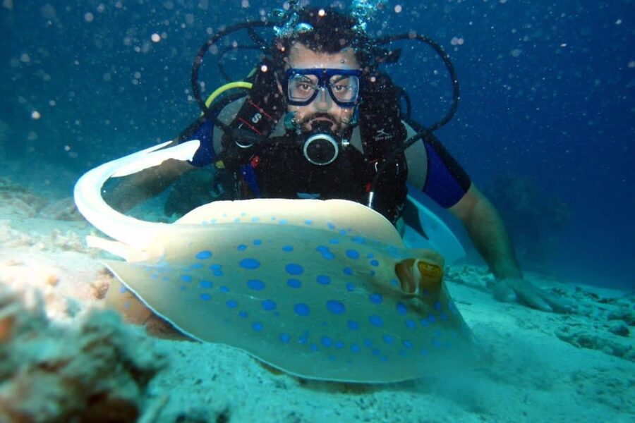 From Sharm: Ras Mohammed snorkeling cruise & optional diving - The long return sail to Sharm