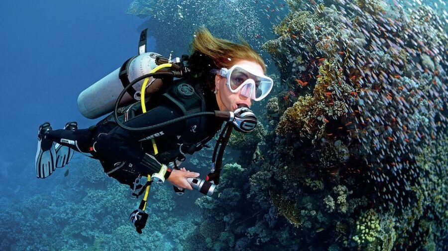 From Sharm: Ras Muhammed & White Island By Boat & intro Dive - What this Ras Muhammad boat day is really like