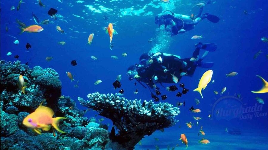 From Sharm: Ras Muhammed & White Island By Boat & intro Dive - What is included, and what can raise the cost?
