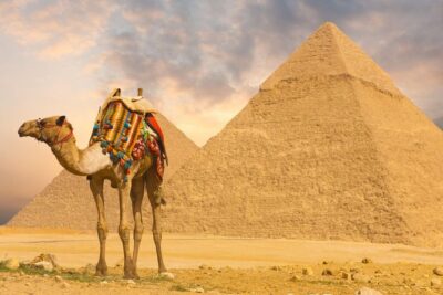 Full Day Cairo Excursion