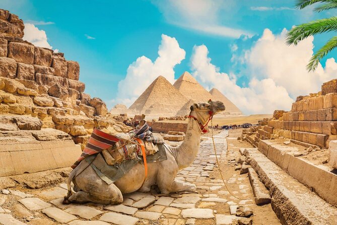 Full Day Cairo Guided Tour Pyramids and Museum, Lunch - Hurghada - The papyrus workshop and the sales-stop question