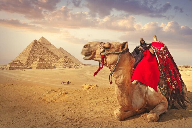 Full Day Cairo Guided Tour Pyramids and Museum, Lunch - Hurghada - The six-hour road from Hurghada to Cairo