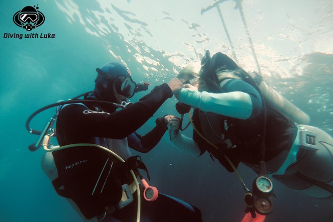 Full day diving with private guide, lunch drinks transportation - Two Red Sea Sites in One Day