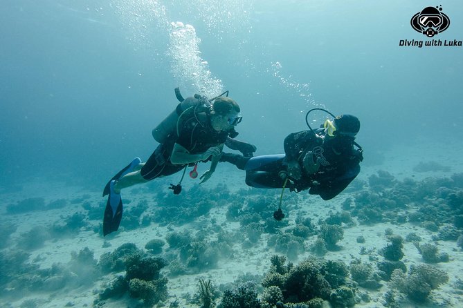 Full day diving with private guide, lunch drinks transportation - What Luka Adds to the Experience
