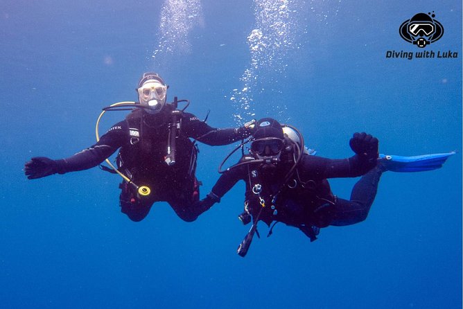 Full day diving with private guide, lunch drinks transportation - How the $81.10 Price Measures Up