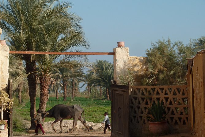 Full-Day Fayoum Oasis and Waterfalls of Wadi El-Rayan Tour from Cairo - Egyptian lunch with a view