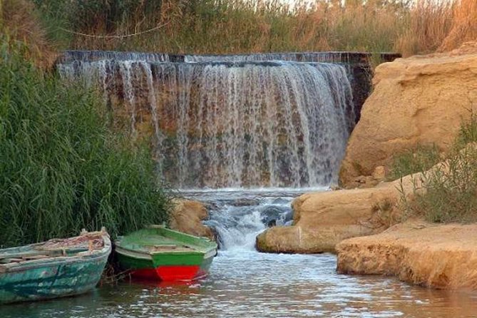 Full-Day Fayoum Oasis and Waterfalls of Wadi El-Rayan Tour from Cairo - Guides, drivers, and the quality of the day