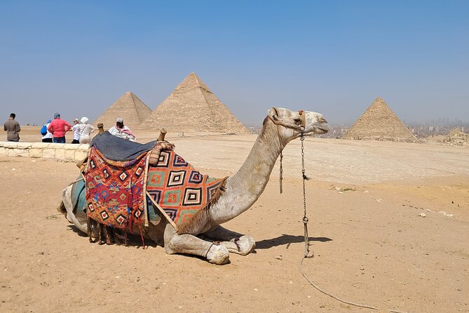 Full day Giza pyramids ,camel ride, Mummies museum and bazar - Giza begins with the pyramids